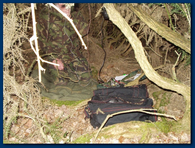 600x449 pixels (203K)